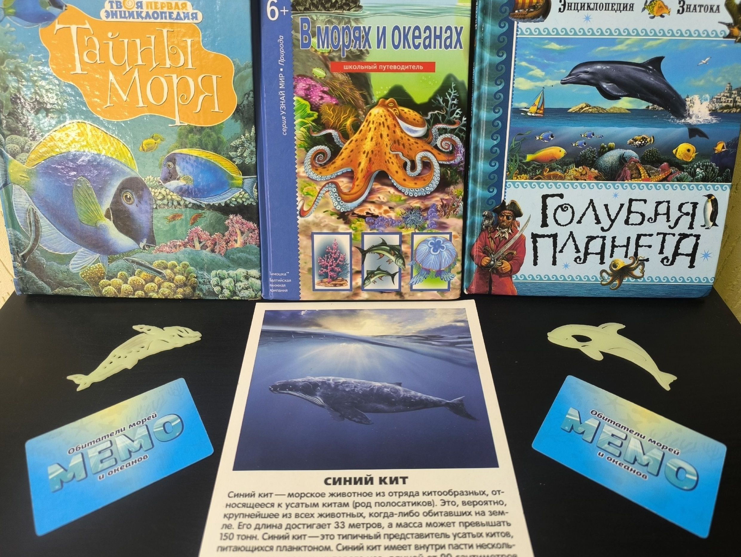 Read more about the article МОРСКИЕ ГИГАНТЫ